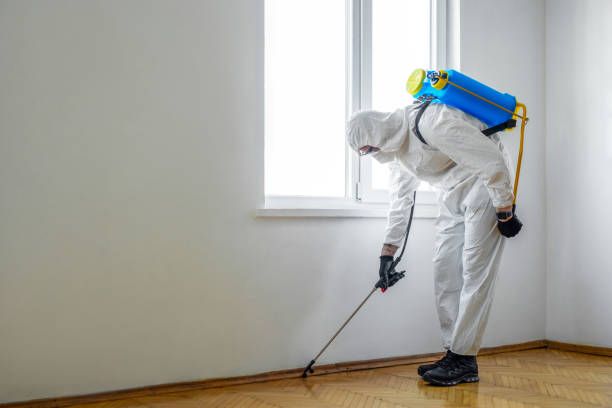 Professional Pest Control in Cambridge, NE