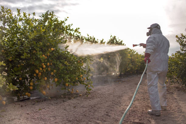 Best Pest Control Near Me  in Cambridge, NE