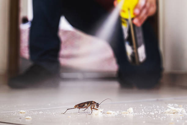 Pest Control Cost in Cambridge, NE