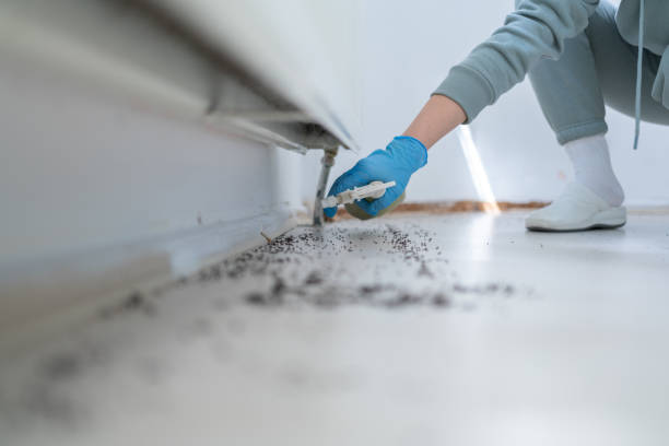 Best Pest Removal Services  in Cambridge, NE